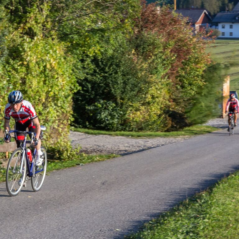 Rad-Vereinsmeisterschaft 2015